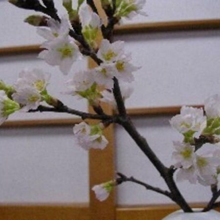 Wakaba Ryokan / Vacation Stay 29362 사카타 외부 사진